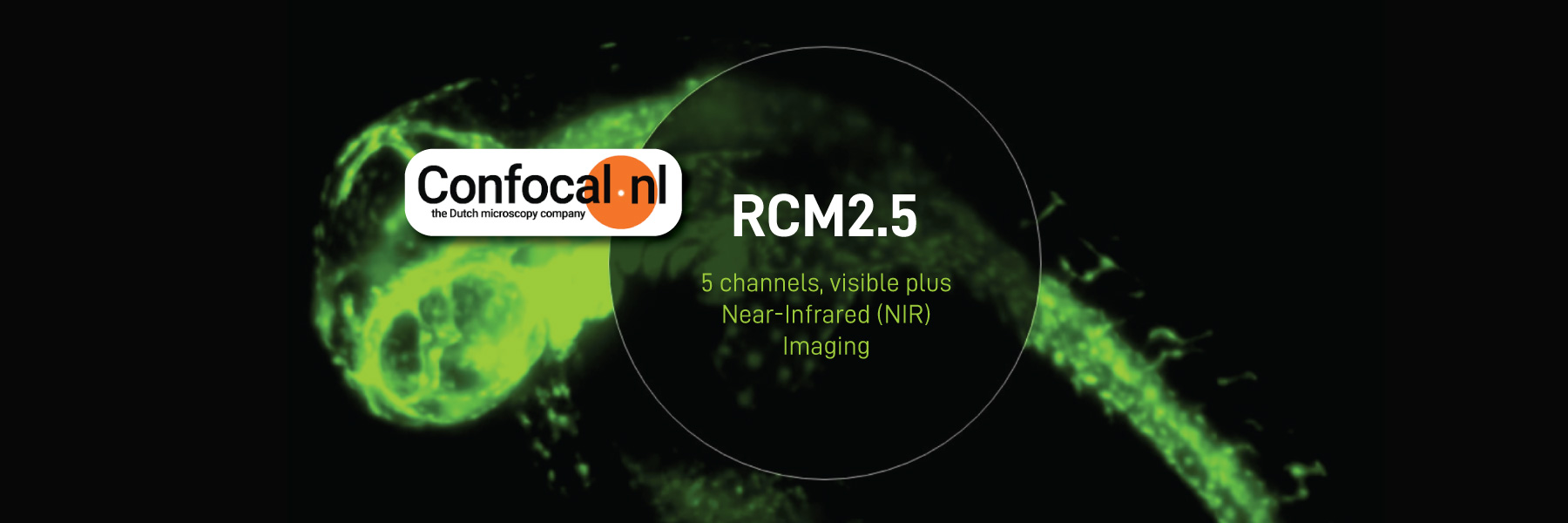 Confocal RCM2.5
